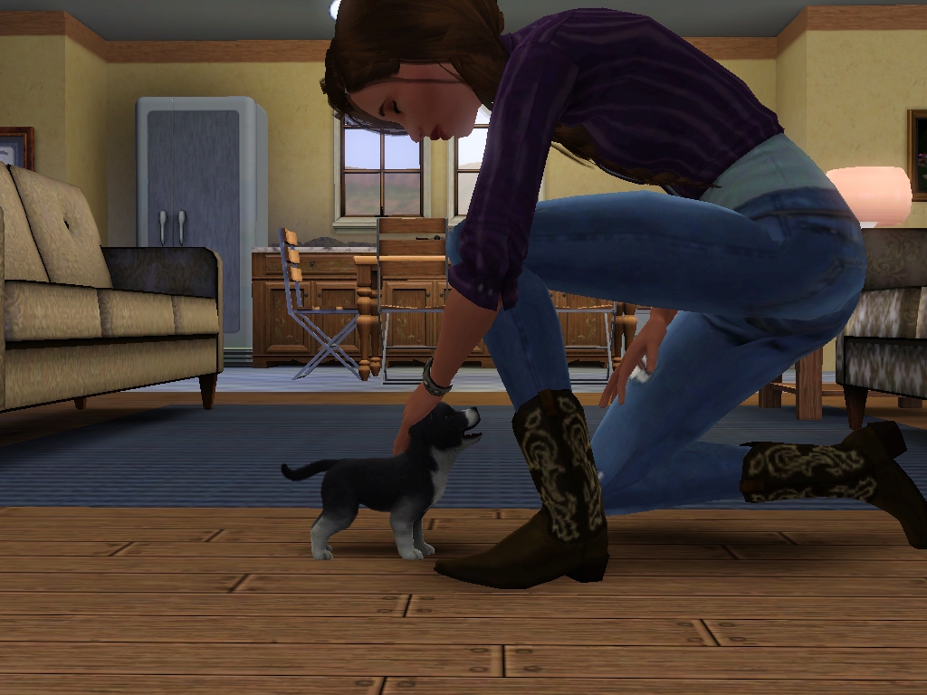 Ssimsnstuff's tweet photo. This is Skye Fowler and her ADORABLE puppy Fern 😍I'm in love and ready to live out my horse girl dreams
#TheSim3 #ts3 https://t.co/JjcJml1gwz