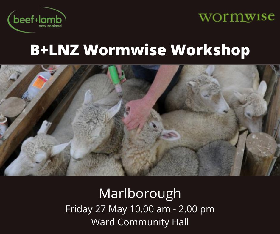 B+LNZ Wormwise Workshop: Marlborough
Fri 27th May - 10:00am - 2:00pm

This workshop will cover what's involved in being 'Wormwise' and drench strategies for your farm. 

Register now:
beeflambnz.com/events/blnz-wo…

#Wormwise #beeflambnz