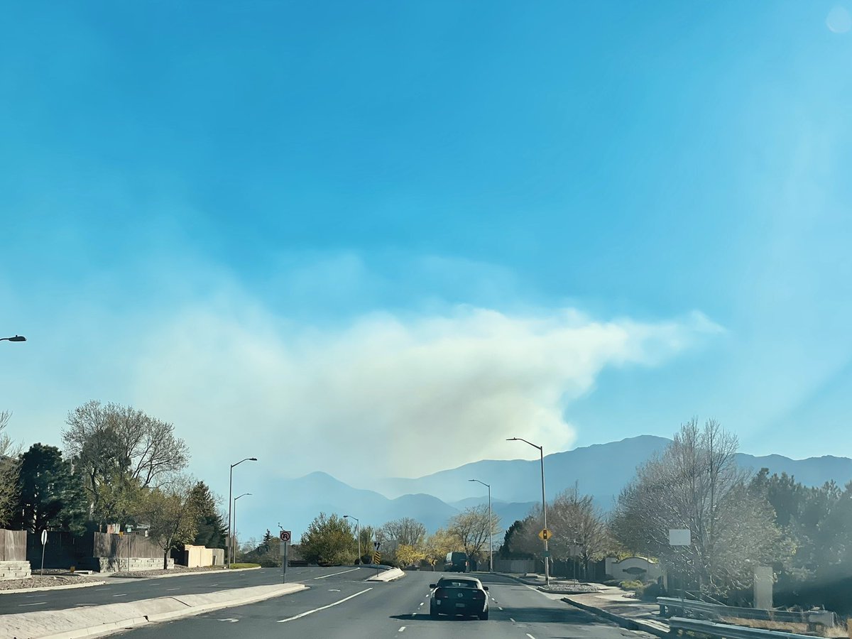 dillschu tweet media