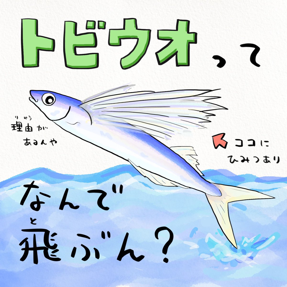 トビウオの滞空時間が3秒更新されました。その結果、、#ダーウィンが来た https://t.co/j9lbX07vH5 