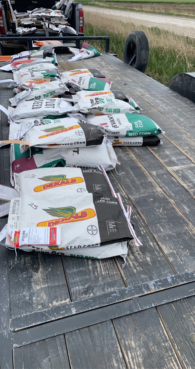 NutrienStockton's tweet photo. Planted a 36 hybrid corn plot NE of Plainville today. Featuring @BrevantseedsUS @DynaGroSeed and @Asgrow_DEKALB https://t.co/0AEAw59UT0