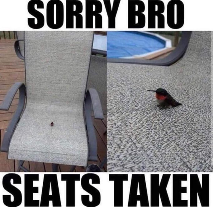 Watch Lauren Summer's leaked NSFW photo on TwXstars