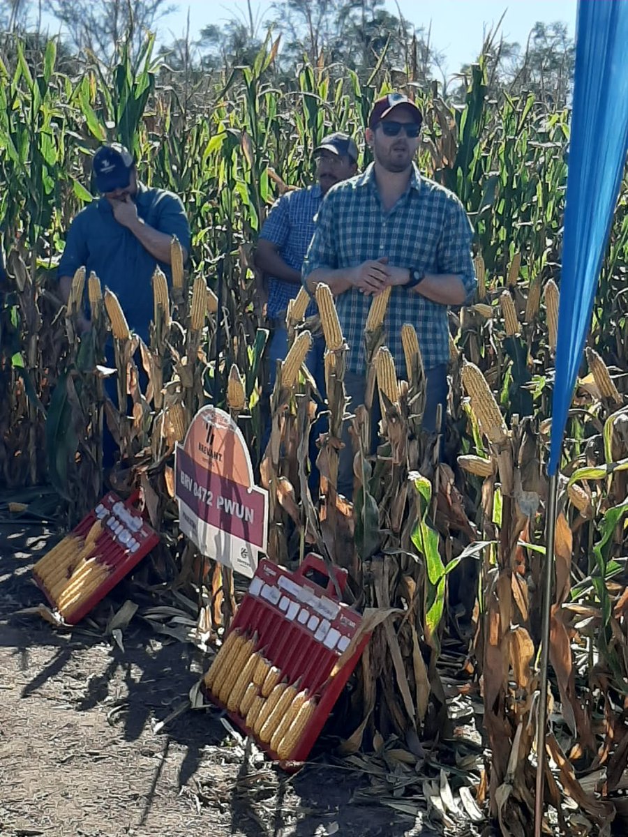 mggarciaok's tweet photo. Gran día de Campo en el MIB de Sachayoj junto a Colegas y Productores de la zona. @Tino_DeRossi @YaraArgentina @BrevantSemillas @CortevaARG https://t.co/Kh1cvV2UBx