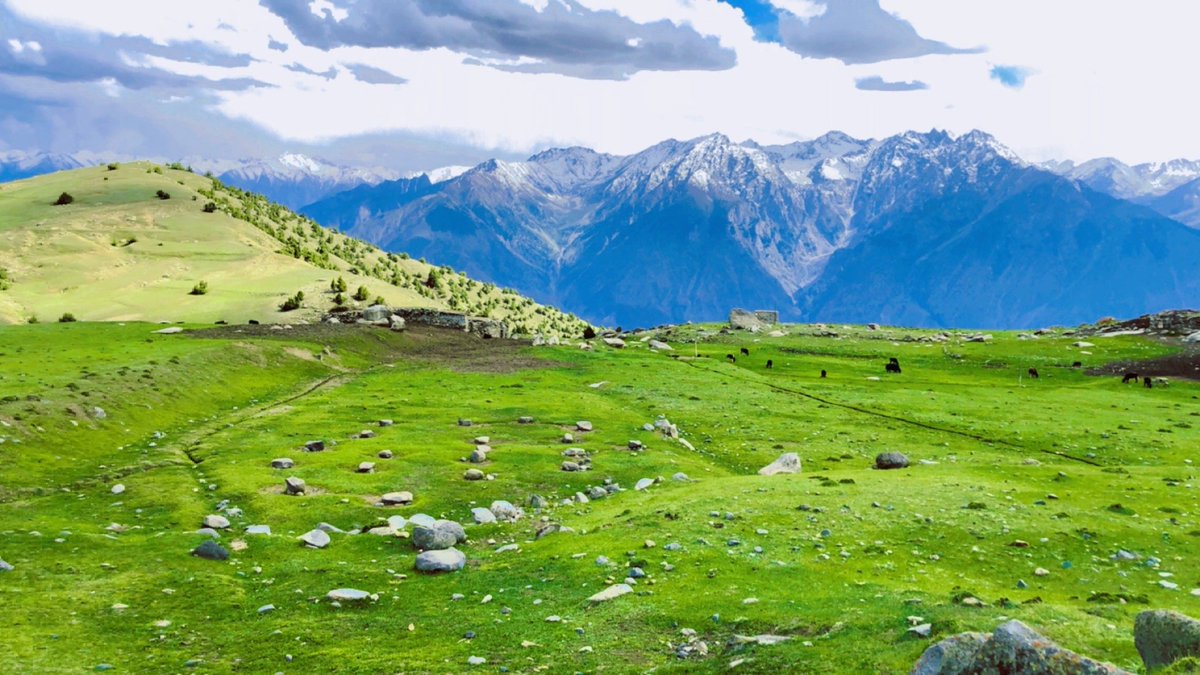 Akashhussyn's tweet photo. #BeautifulGilgitBaltistan
#GilgitBaltistan 
#Boneil_Valley_Bargo_Bala https://t.co/OBVxWhWOJp