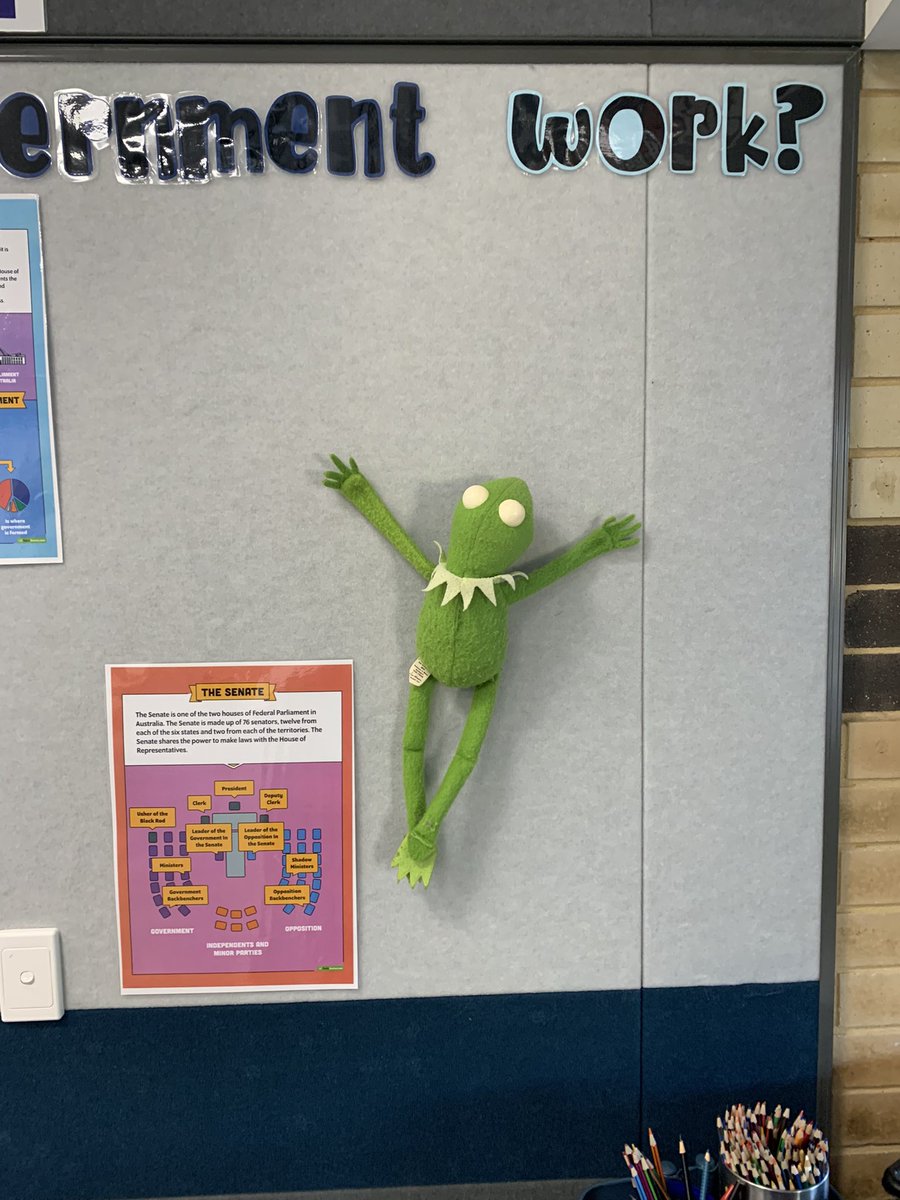 Home all week with Covid. My fabulous EA has been sending me class and Kermit updates each day. Today the boys took Kermit to assembly. Got to say he’s looking happier now that it’s Friday! #year6 #teachingboys