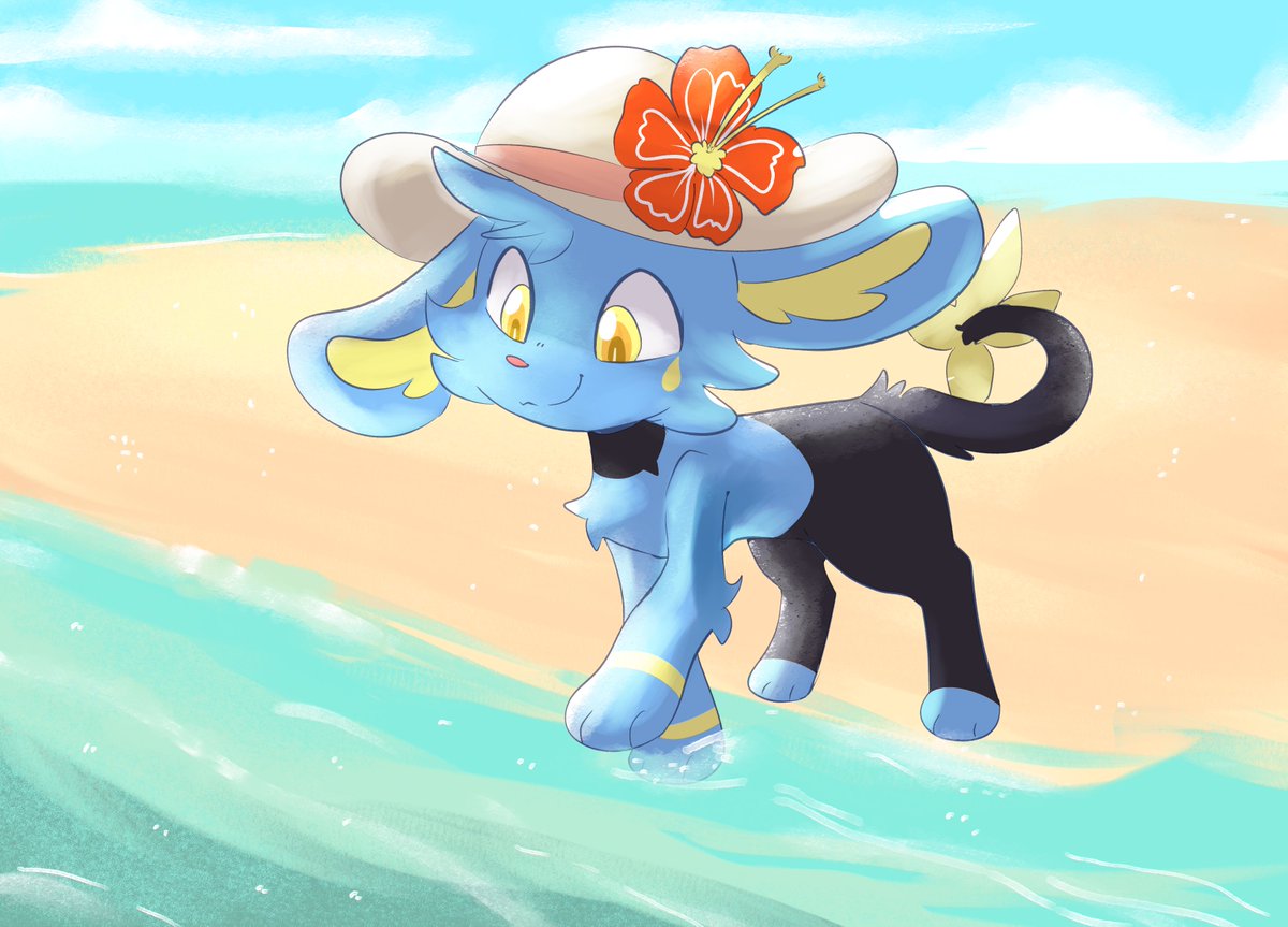 DailyShinx (@dailyshinx) on Twitter photo 