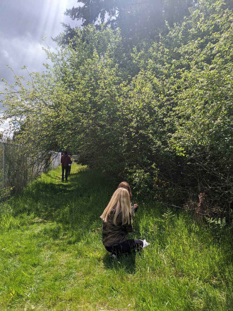 TMSHyLo's tweet photo. TMS Move for Life: 
✅ Time in nature
✅ Physical activity
✅ Botany lesson
✅ Ecology lesson
✅ Communication and teamwork
🤔 Teaching the whole child! @TumwaterSDNews @TMSFirewolves @TMSBigMac https://t.co/aQ2Rc4ooxf