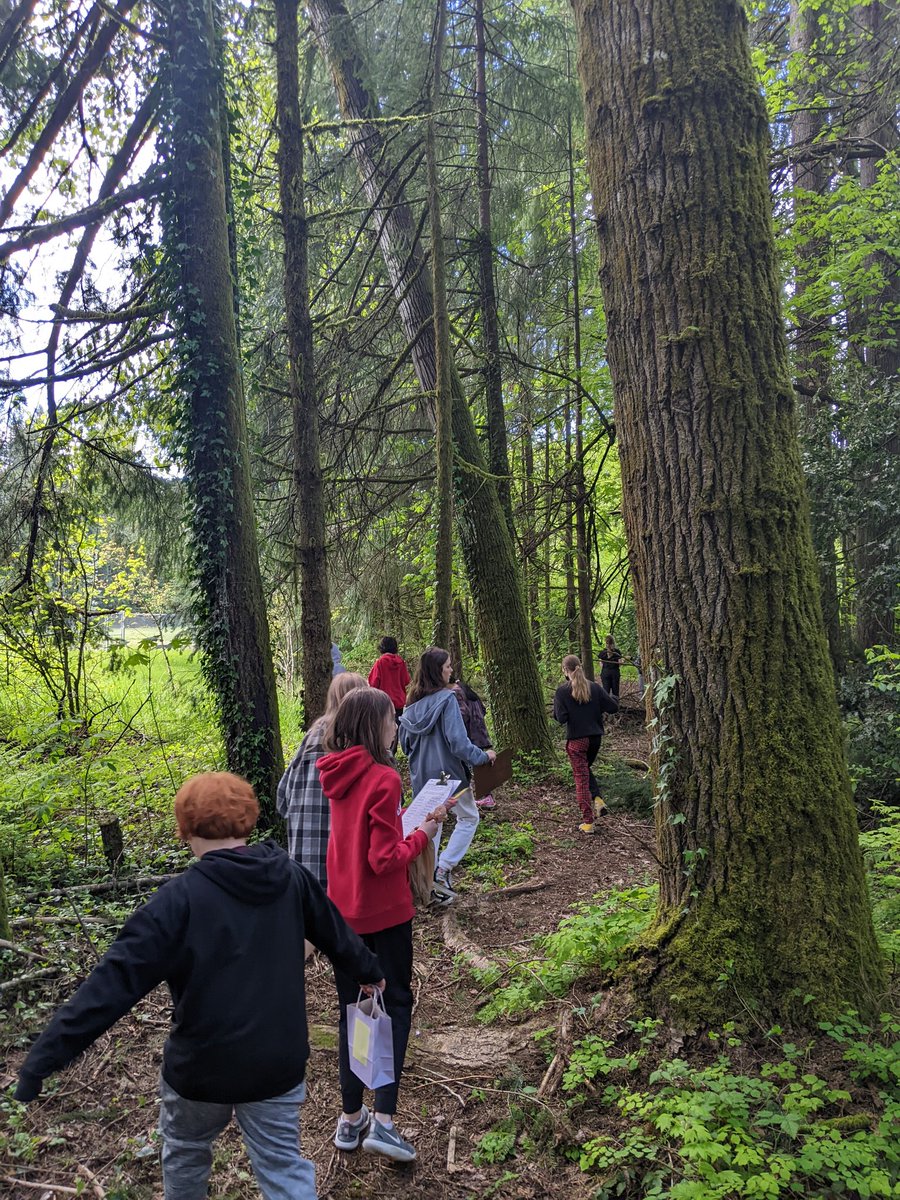 TMSHyLo's tweet photo. TMS Move for Life: 
✅ Time in nature
✅ Physical activity
✅ Botany lesson
✅ Ecology lesson
✅ Communication and teamwork
🤔 Teaching the whole child! @TumwaterSDNews @TMSFirewolves @TMSBigMac https://t.co/aQ2Rc4ooxf