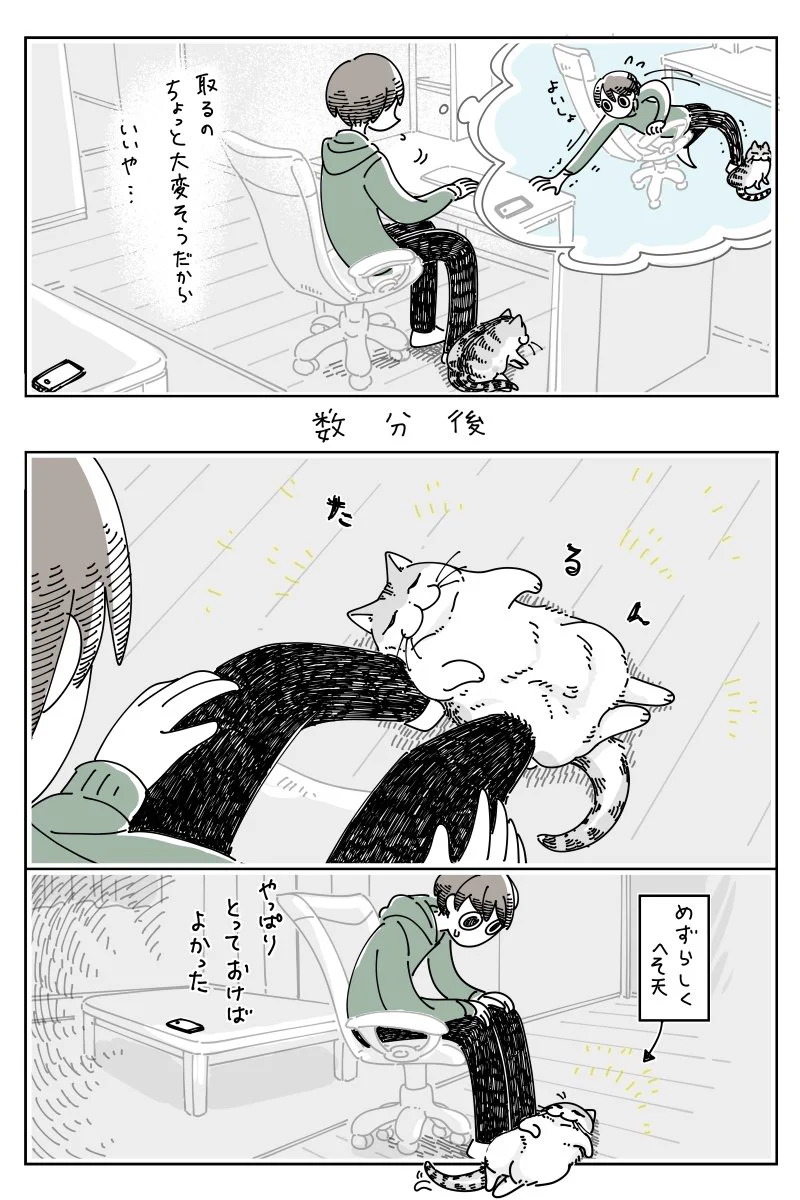 これは凄くもどかしい気持ちになりそう！猫が可愛い仕草を見せてくれているときに限ってスマホが手元になく･･･！