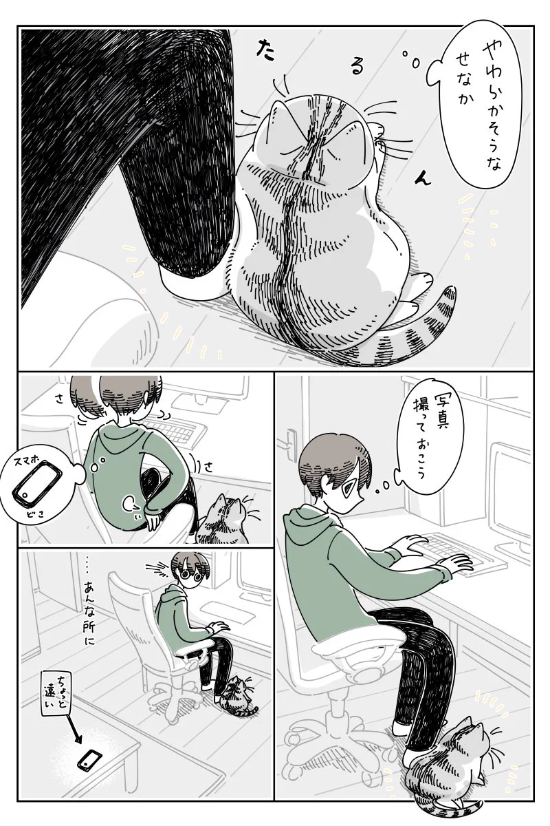 これは凄くもどかしい気持ちになりそう！猫が可愛い仕草を見せてくれているときに限ってスマホが手元になく･･･！