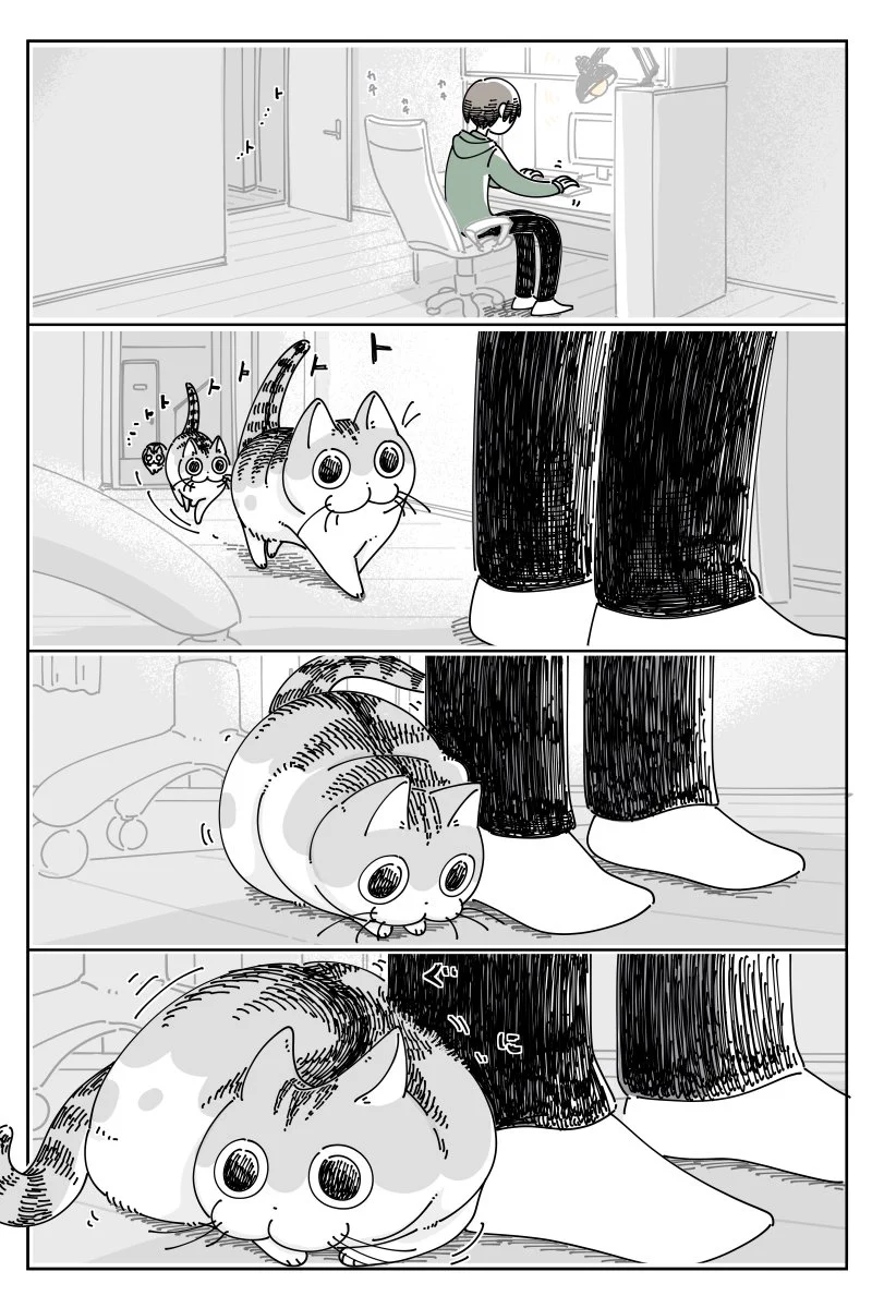 これは凄くもどかしい気持ちになりそう！猫が可愛い仕草を見せてくれているときに限ってスマホが手元になく･･･！