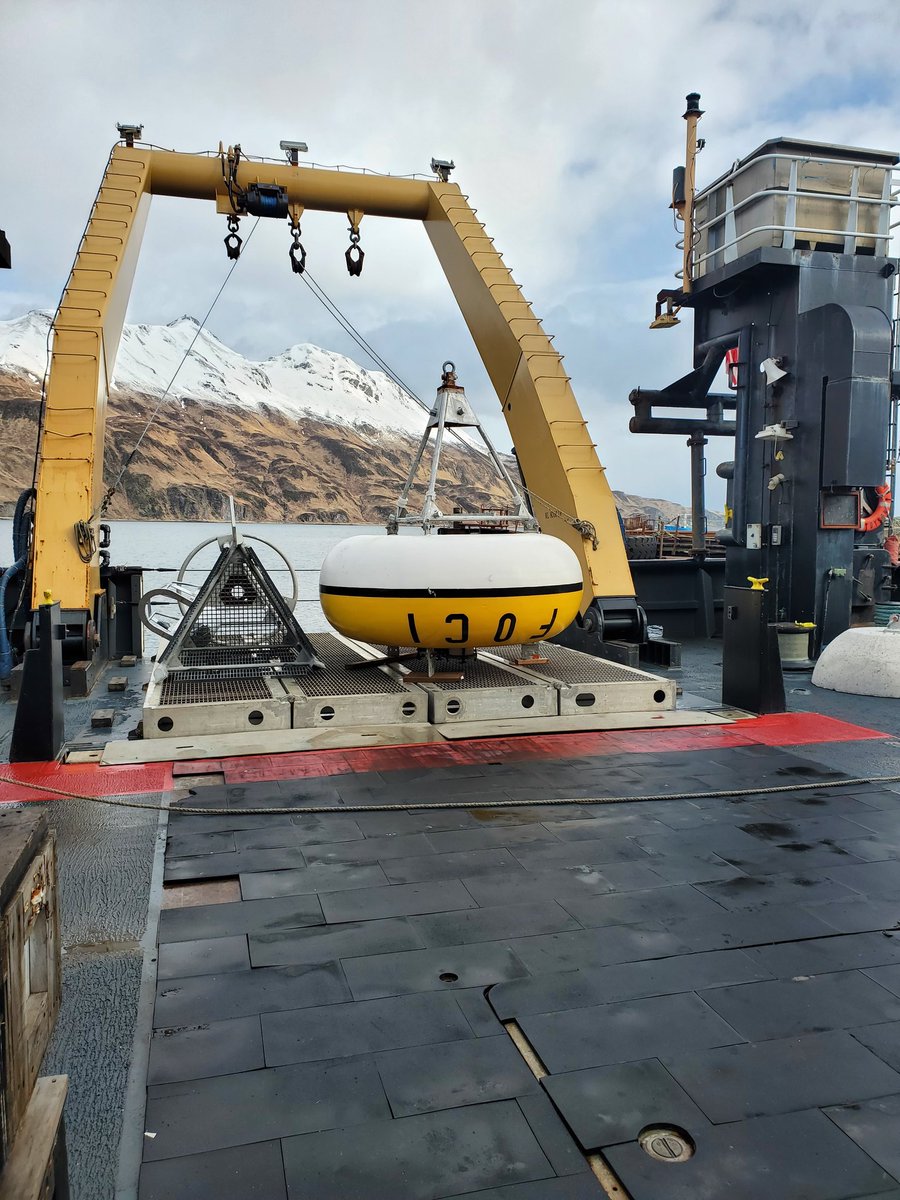 Dr. Emily Lemagie tweet media