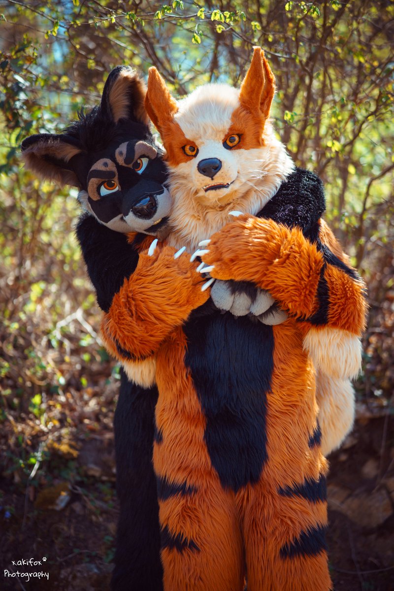 Gwein (@gweincalar) on Twitter photo I caught an Arcanine for #FursuitFriday :D
๐พ <a href="/That_Tommy_Guy/">Tommy!</a>
๐ชก <a href="/arvinsLair/">ArvinsLair</a> and <a href="/TheKarelia/">TheKareliaFursuits ๐ EF29, Furnavia.</a>
๐ธ @xakifox I caught an Arcanine for #FursuitFriday :D
๐พ <a href="/That_Tommy_Guy/">Tommy!</a>
๐ชก <a href="/arvinsLair/">ArvinsLair</a> and <a href="/TheKarelia/">TheKareliaFursuits ๐ EF29, Furnavia.</a>
๐ธ @xakifox