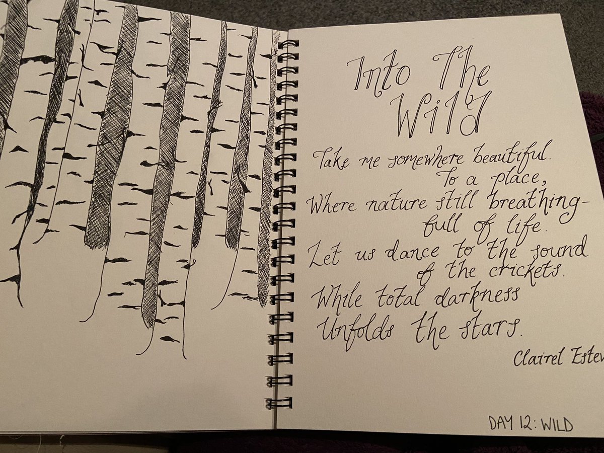 LouiseTreloar1's tweet photo. Day 11 and 12 of the #MagpieChallenge with @JenniSpangler1. Test and wild, with space to add more. π https://t.co/63jSxsTmjS