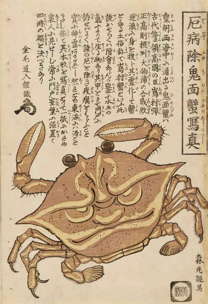 油彩画F8号 題名 「鎧蟹」 FSn0Z-yaUAAKctR?format=webp&