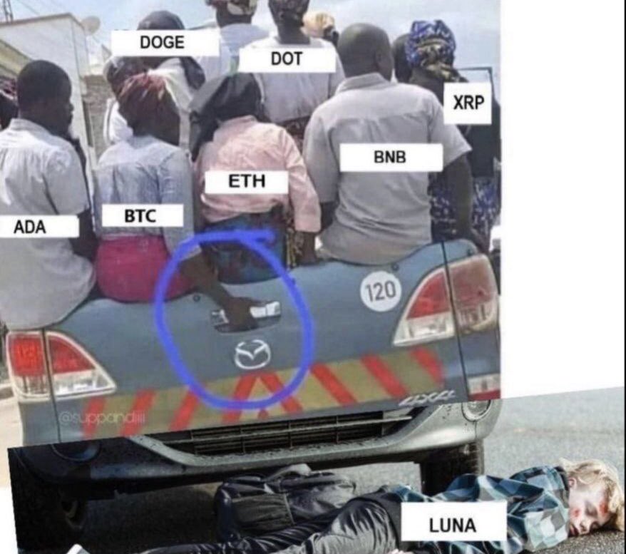 Nas Levi (@jellyfishhka) on Twitter photo 