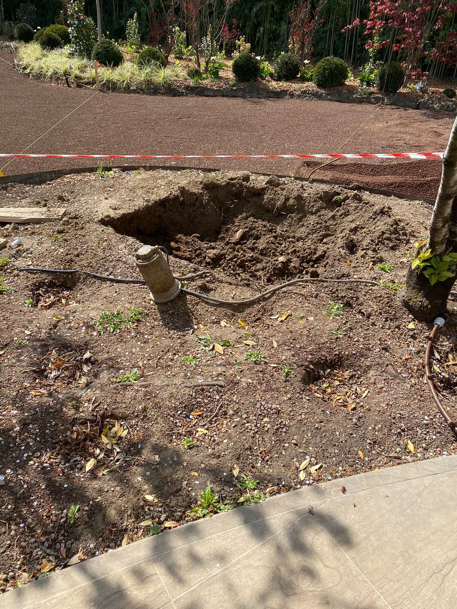 LeonardoVezzos1's tweet photo. Hey @mad_sequence
Thank u for the mad idea
We just started to rebuild the backyard. In the extra land that we have behind the house i started to plant trees and plants for every month in profit. i want to create a #Madforest under the Alps in Italy https://t.co/qojhqLW441