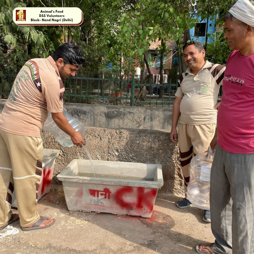 DSSNewsUpdates's tweet photo. The animals too struggle to quench their #thirst as the temperature soars high day by day. DSS volunteers are making every attempt to help these creatures survive by keeping #water in different places with the inspiration of St. Dr. @Gurmeetramrahim Singh Ji Insan.
#AnimalWelfare https://t.co/lL97W0PPDg