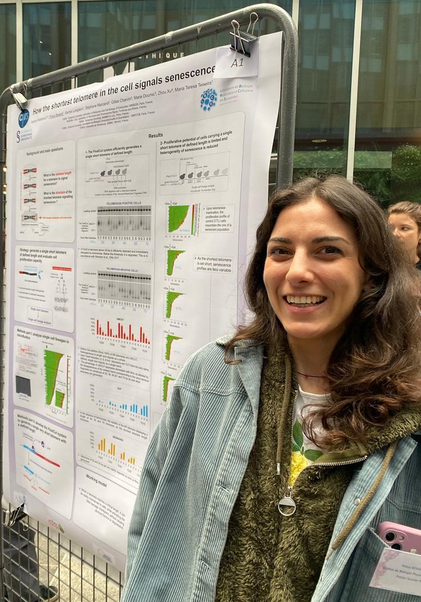 lbmce_umr8226's tweet photo. 👏 Félicitations @PriscaBerardi
et @becharazainoun pour vos prix des meilleurs posters aux Journées scientifiques de l’ED 515 (Journées Boris Ephrussi)
#JBE #complexiteduvivant @Sorbonne_Univ_ et @psl_univ https://t.co/sPUhcoT9hZ