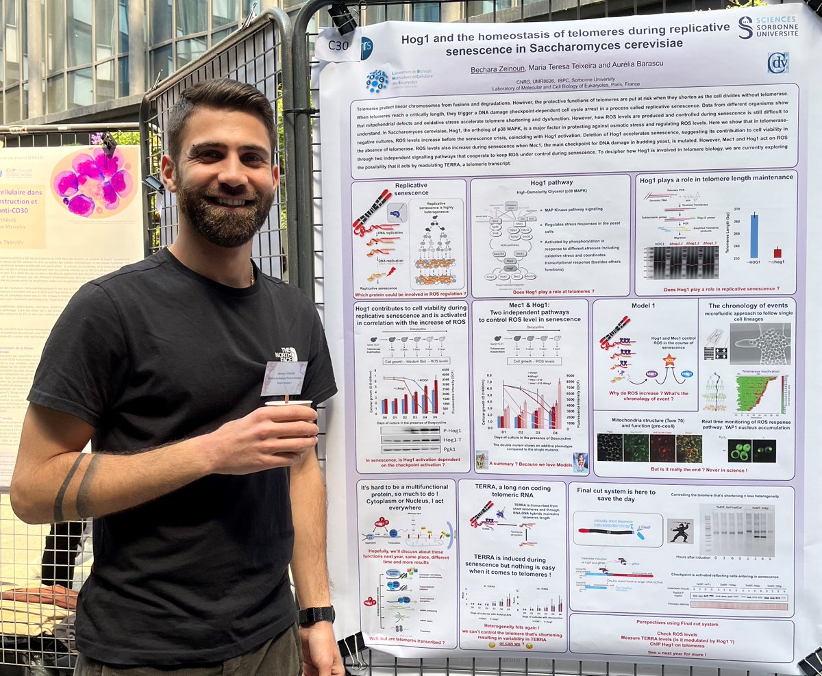 👏 Félicitations <a href="/PriscaBerardi/">PriscaBer</a>
et @becharazainoun pour vos prix des meilleurs posters aux Journées scientifiques de l’ED 515 (Journées Boris Ephrussi)
#JBE #complexiteduvivant <a href="/Sorbonne_Univ_/">Sorbonne Université</a> et <a href="/psl_univ/">Université PSL</a>