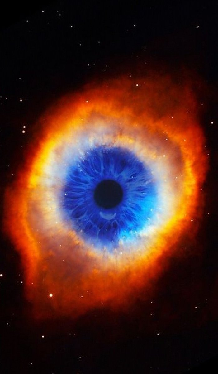 Julio Maiz tweet media