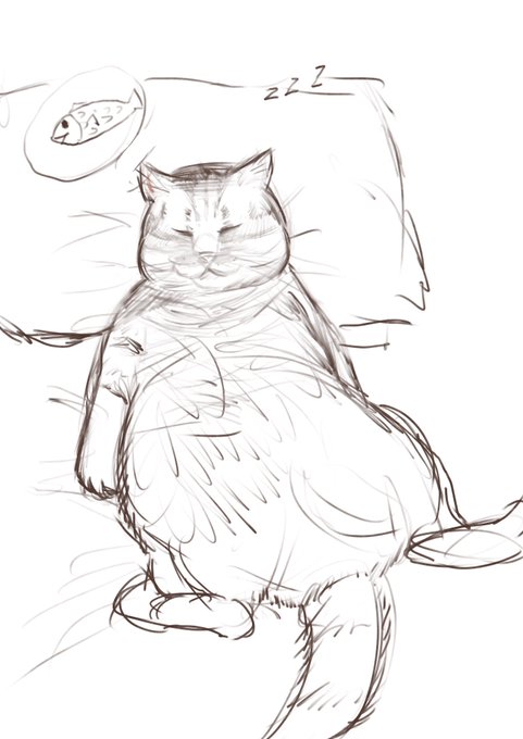 これは今日のワイ 