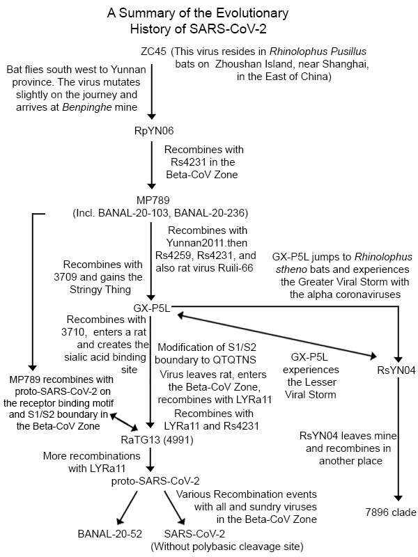 #Originofcovid
Here's a better quality image of the evolution of SARS-CoV-2 that is further explained in my book.
amazon.com/Origin-Covid-I…