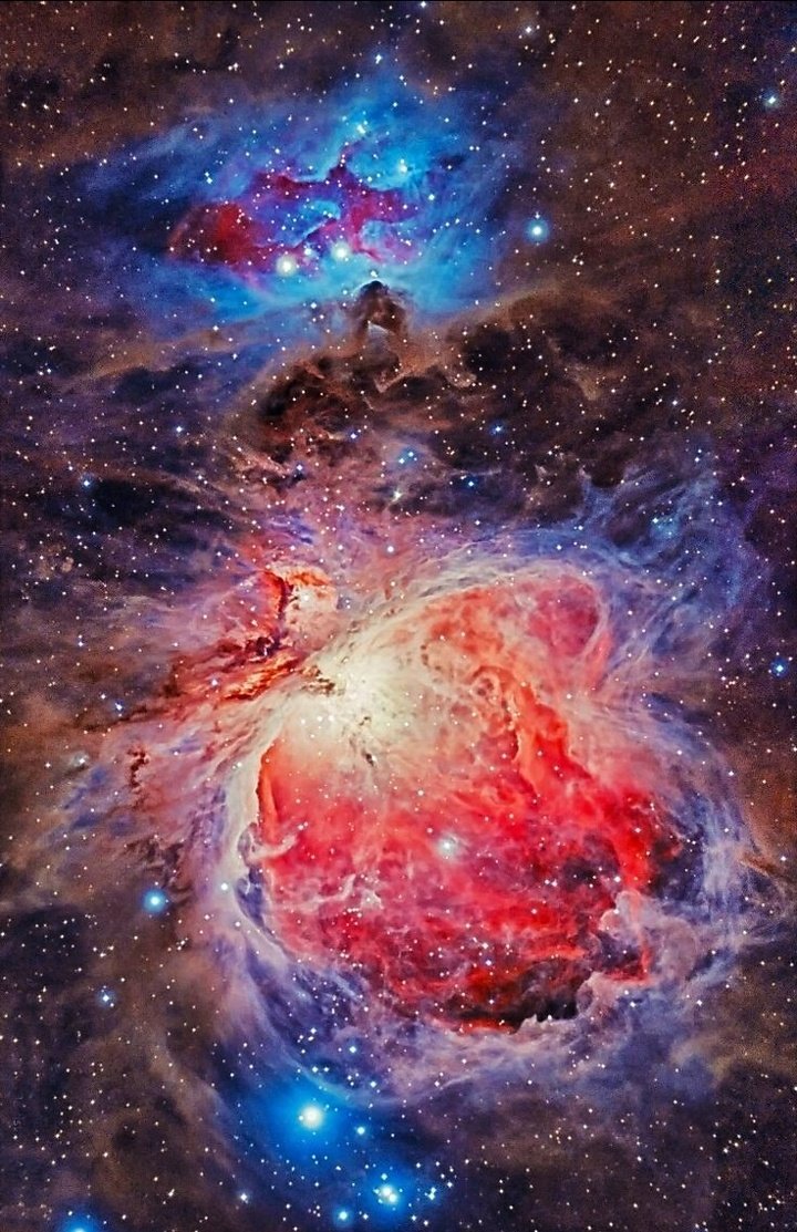 maiz_julio's tweet photo. M42 Great Orion Nebula by J Travis. https://t.co/Or0QbvvkW3