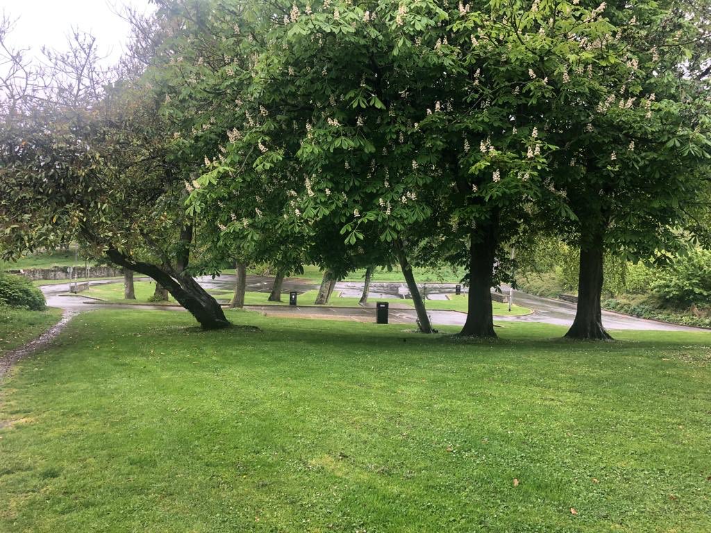 portaferrytrees's tweet photo. Car Park Update Portaferry Ropewalk Fri 6.5.22 at 13.17 EMPTY - our team been dead busy past week so posting retrospectively. We have now being doing this survey for 6 months &amp; will publish statistics soon. Car park has only been full on a small handful of school/banks holidays. https://t.co/F871YkPiSO
