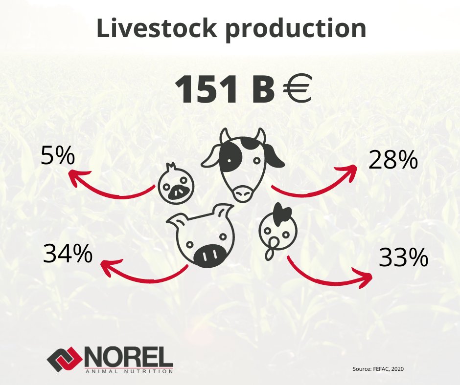 ¿How the livestock market goes? Is it growing? Which will be the future? Will we ever be completely sustainable? 🤔
¿Cómo va el mercado ganadero? ¿Está creciendo? ¿Cuál será el futuro? ¿Seremos algún día completamente sostenibles?🤔
 #Norel #Livestock #animalnutrition
