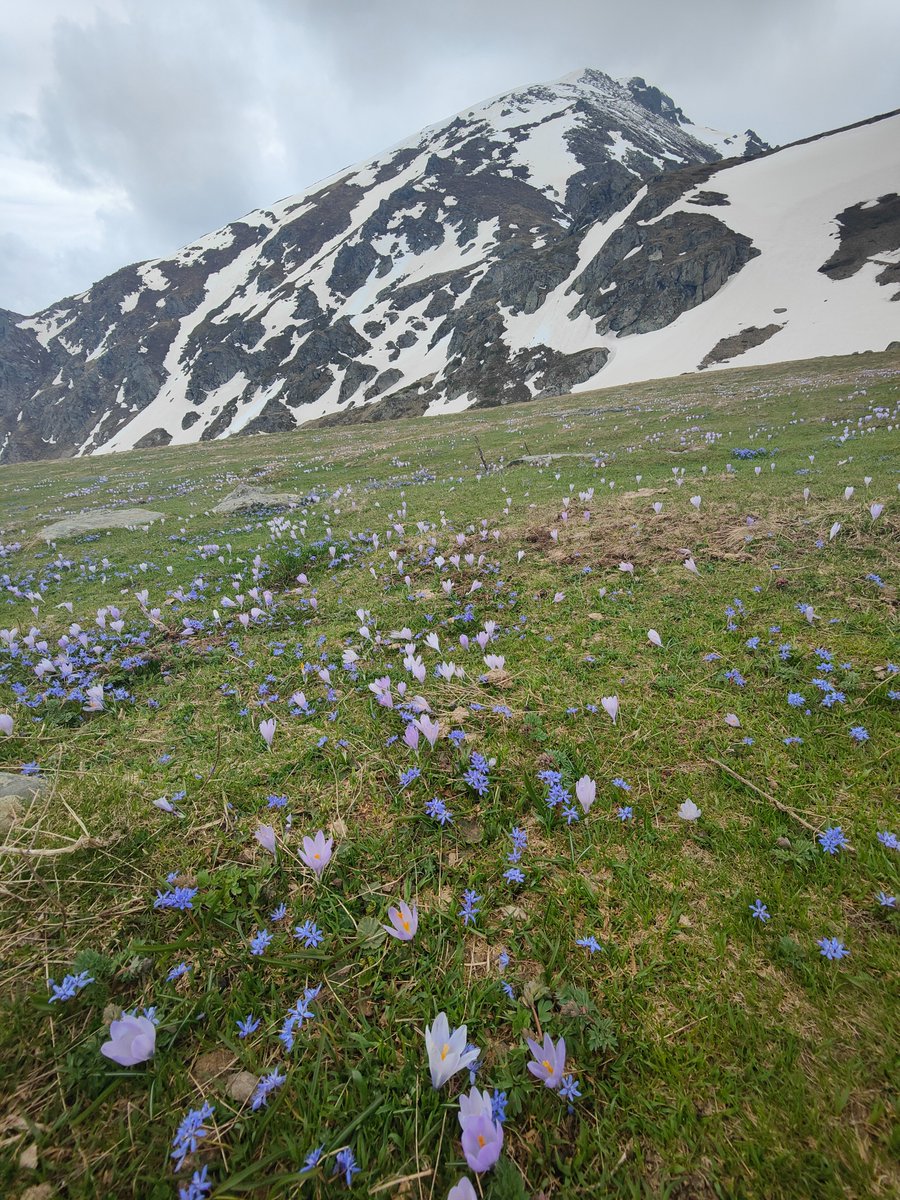 UNEP_Europe's tweet image. Proclaiming a national park 🌲 is just the start. @UNEP_Europe supports the government of #NorthMacedonia 🇲🇰with the drafting of a management plan for Shar Mountain NP🏔️ so that we, and future generations, can enjoy this natural gem with care. Do you have plans for the summer? 😉