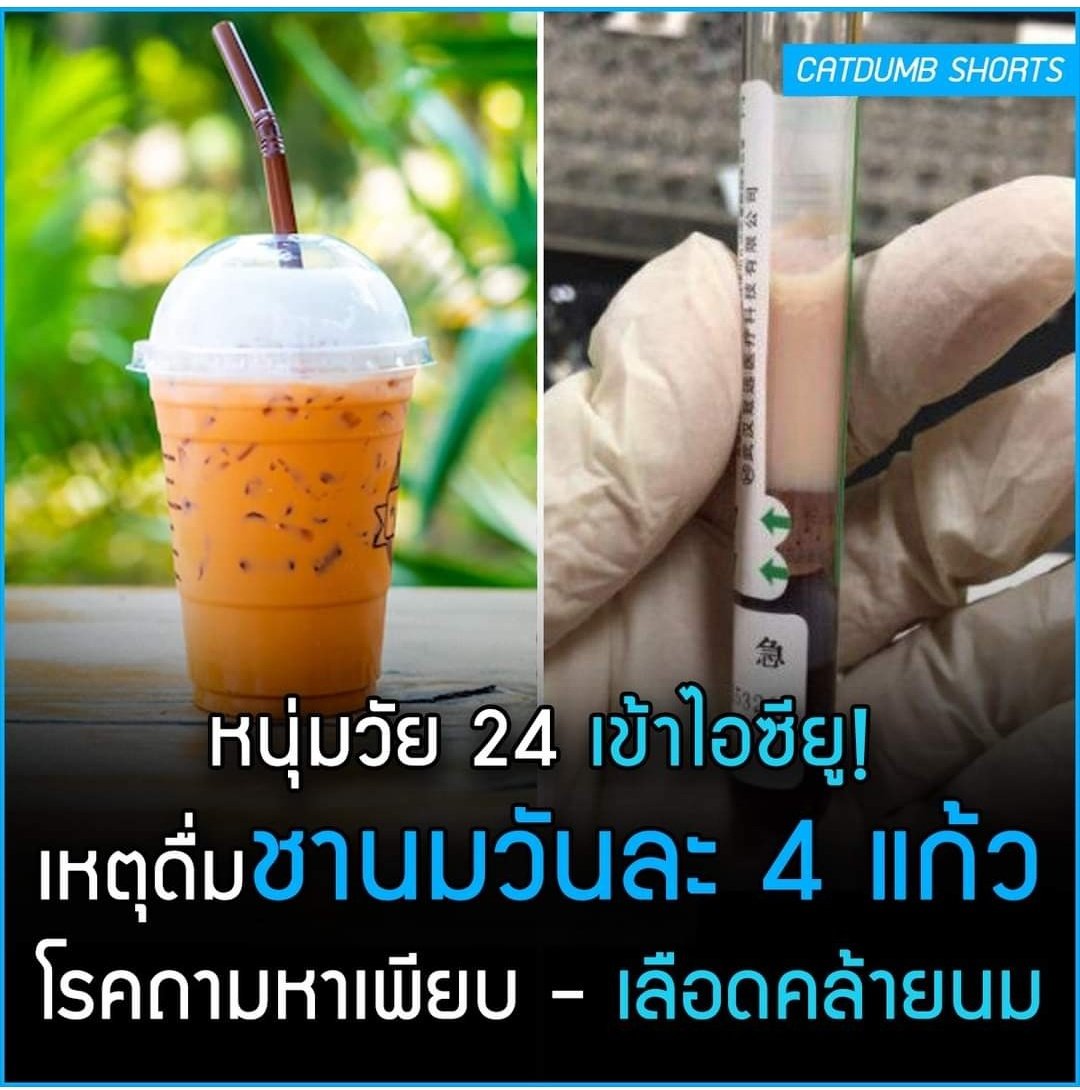 TarotYouuuu's tweet photo. ที่ประเทศจีนมีคนดื่มชานมวันละ 4 แก้วตลอด2ปี!  ดื่มจนป่วยเข้าโรงพยาบาล ระดับน้ำตาลในเลือดสูงกว่าคนปกติ4เท่า ดื่มจนเลือดเหมือนนมเลย น่ากลัวมากจริงๆ https://t.co/C16Zlj2EpU