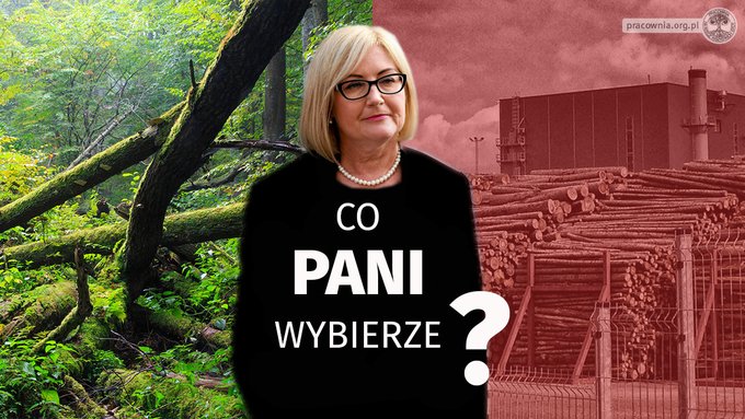 Czy 16 maja zagłosujesz nad zmianą nowej dyrektywy UE w sprawie #OZE? Proszę głosować za poprawką kompromisową 9⃣ (NIE 9A‼️), aby wyłączyć spalanie biomasy leśnej z dotacji i celów w #REDIII. Czy dokonasz właściwego wyboru, <a href="/j_kopcinska/">Joanna Kopcińska</a>❓ #stopfakerenewables 🔥🌲🌲