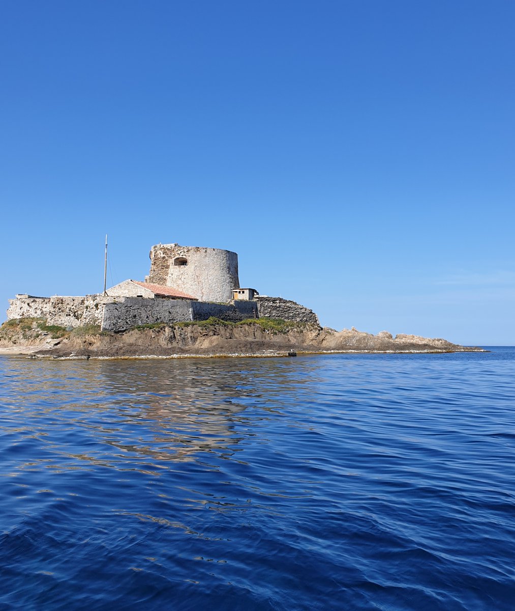 RegateV2E's tweet photo. Les nouvelles générations et #V2E travaillent ensemble sur le projet phare en matière de développement durable du Fort du Petit Langoustier à Porquerolles. 
Encore merci à Marc Frilet de nous avoir permis de vivre cette journée.
#Environnement #renovation #energiesrenouvelables https://t.co/bfHOhM7aWK