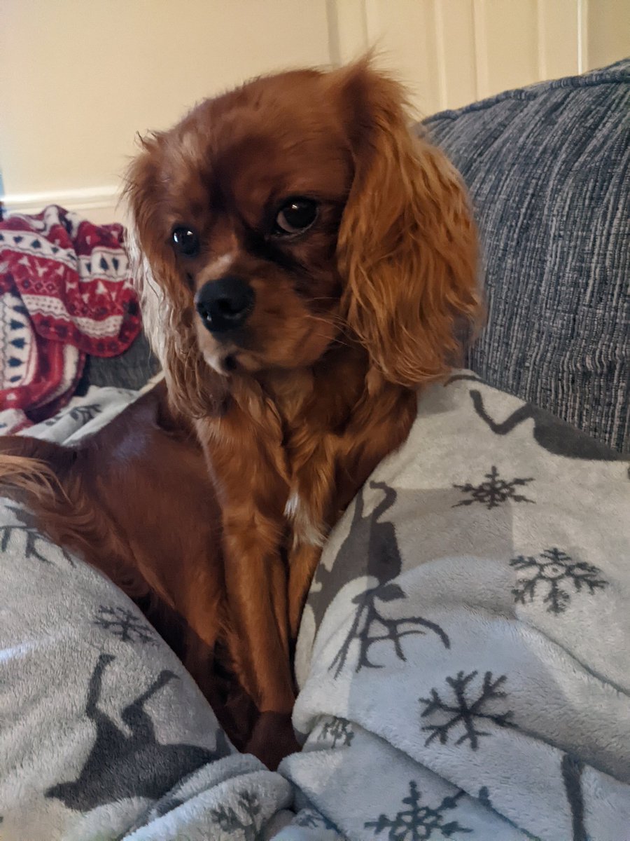 Dr Morgan Wait tweet media