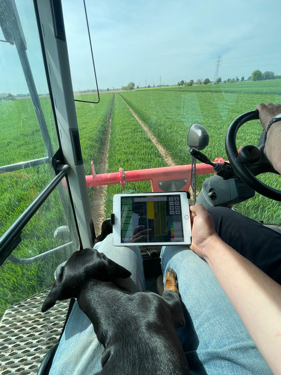 Bayer Crop Science UK (@bayer4cropsuk) on Twitter photo We say we don't have favourite clients but have you seen Betsy the sausage #dog πΎ
Betsy is in South Lincolnshire, watching a fungicide trial being carried out by <a href="/HRichardsonn/">Henry Richardson</a> and recorded on @FieldViewUK
It's great to know the future of farming is in great paws π We say we don't have favourite clients but have you seen Betsy the sausage #dog πΎ
Betsy is in South Lincolnshire, watching a fungicide trial being carried out by <a href="/HRichardsonn/">Henry Richardson</a> and recorded on @FieldViewUK
It's great to know the future of farming is in great paws π