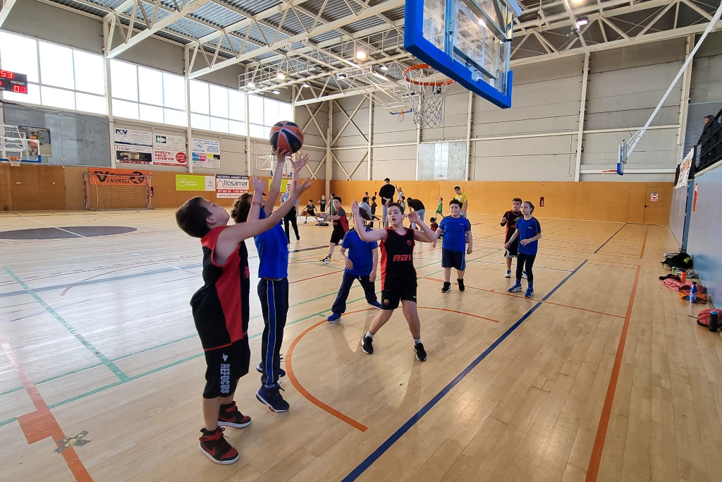 FCBQ's tweet photo. 🏀 Noves Trobades d'Escoles de Bàsquet a Begues, La Garriga, Mataró i Sant Vicenç de Castellet.

👶 Aquest cap de setmana, noves jornades amb l'objectiu d'ensenyar el nostre esport com a pràctica activa als més petits del #BàsquetCatalà

➡️ https://t.co/8xoliBlZxN https://t.co/VMjpMLyXEd