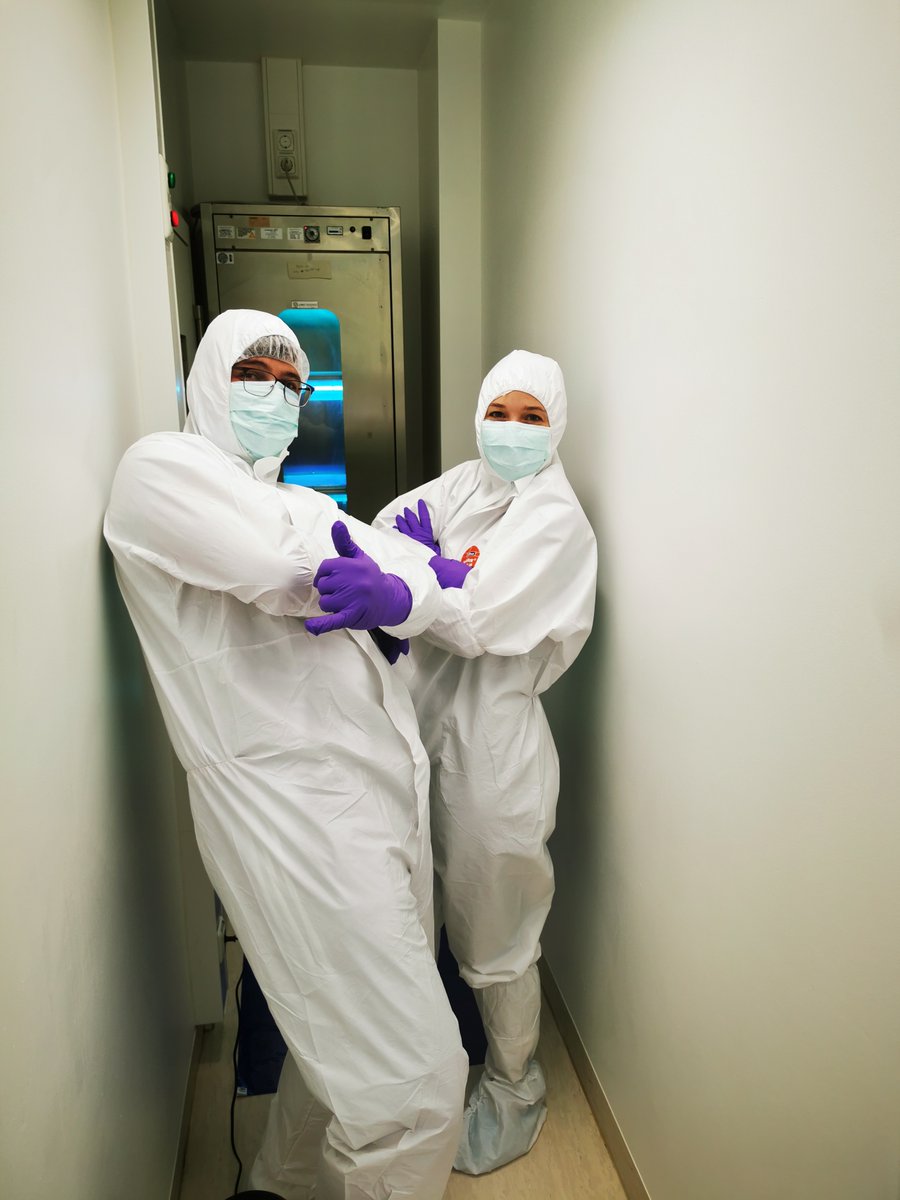 Felix Sadebeck tweet media