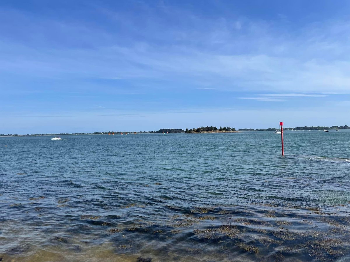 Isorex No-Aqua Ladies Cycling Team tweet media