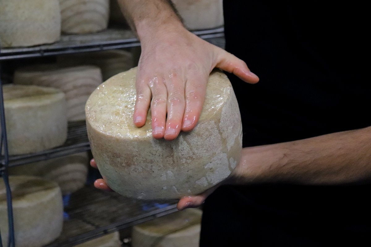 formatgemontbru's tweet photo. El fregat a mà dels formatges és un dels processos que apliquem a algunes de les nostres peces! I això els hi dona el caràcter que acaben tenint un cop passat el temps de maduració. 😍🧀

#formatgesmontbru #formatge #moianes https://t.co/U0FTcT6a2l