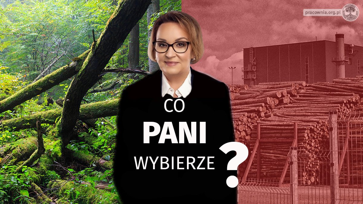 Czy 16. maja zagłosujesz nad zmianą nowej dyrektywy UE w sprawie #OZE? Proszę głosować za poprawką kompromisową 9⃣ (NIE 9A‼️), aby wyłączyć spalanie biomasy leśnej z dotacji i celów w #REDIII. Czy dokonasz właściwego wyboru, <a href="/AnnaZalewskaMEP/">Anna Zalewska 🇵🇱</a>❓ #stopfakerenewables 🔥🌲🌲