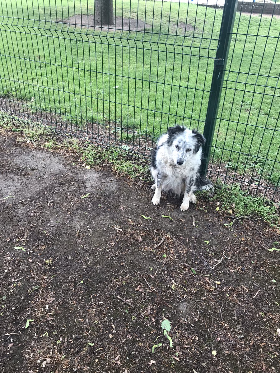 Kellie Beirne tweet media