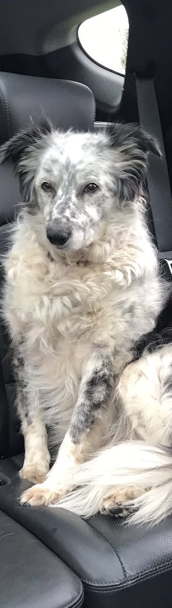 Kellie Beirne tweet media