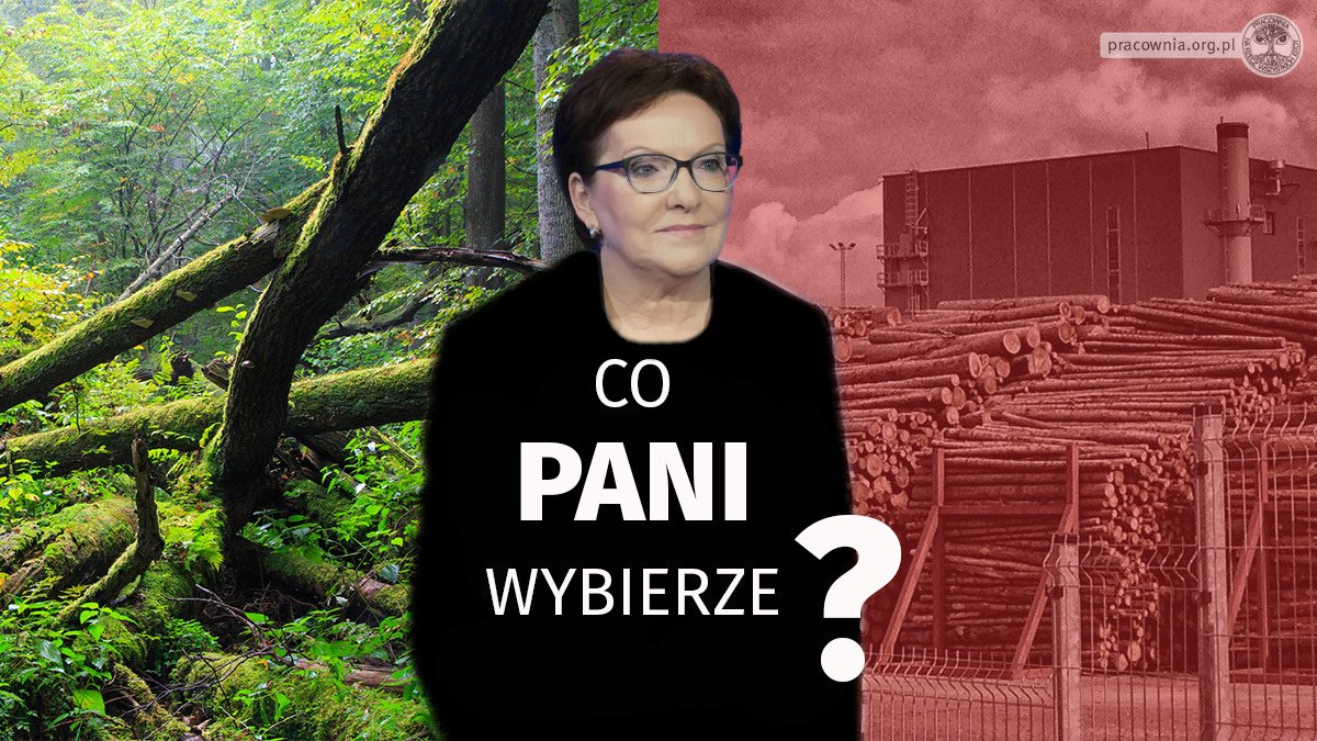 Czy 16. maja zagłosujesz nad zmianą nowej dyrektywy UE🇪🇺 w sprawie #OZE? Proszę głosować za poprawką kompromisową 9⃣  (NIE 9A‼️), aby wyłączyć spalanie biomasy leśnej z dotacji i celów w #REDIII. Potrzebujemy lepszego prawa, <a href="/EwaKopacz/">Ewa Kopacz</a>!! #stopfakerenewables 🔥🌳🌲🌲