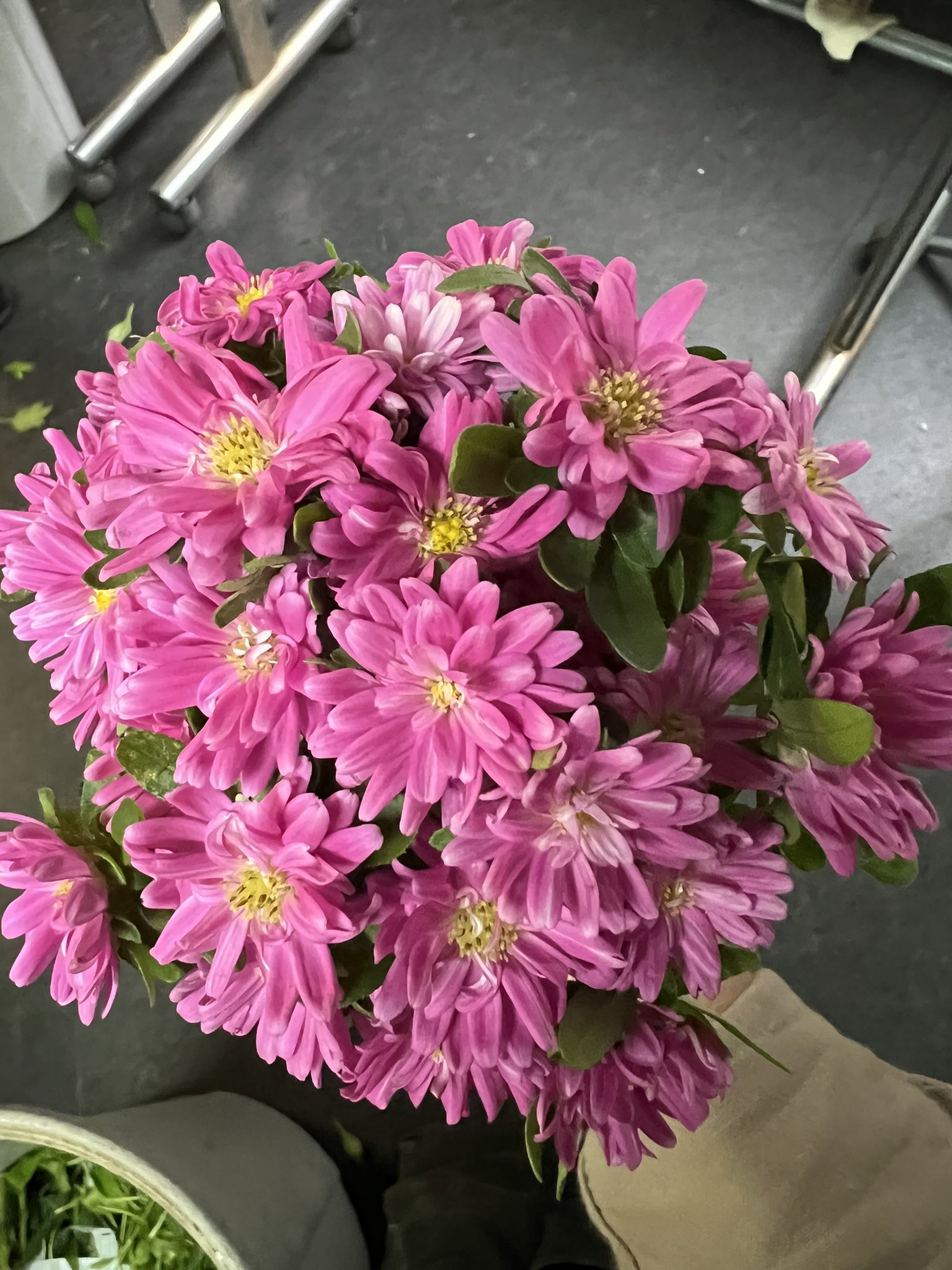 花安園公式 アスターを纏めてみました 花のある生活 花安園 四ツ橋 心斎橋 Tlを花でいっぱいにしよう 花 アスター T Co Xzu2vtyjk3 Twitter