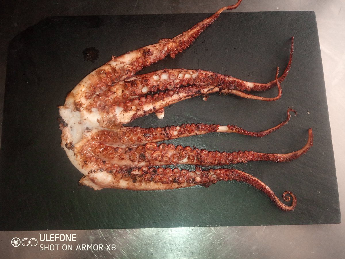 BrasasMilan's tweet photo. Pulpo a la brasa https://t.co/OuQBJLjKrE