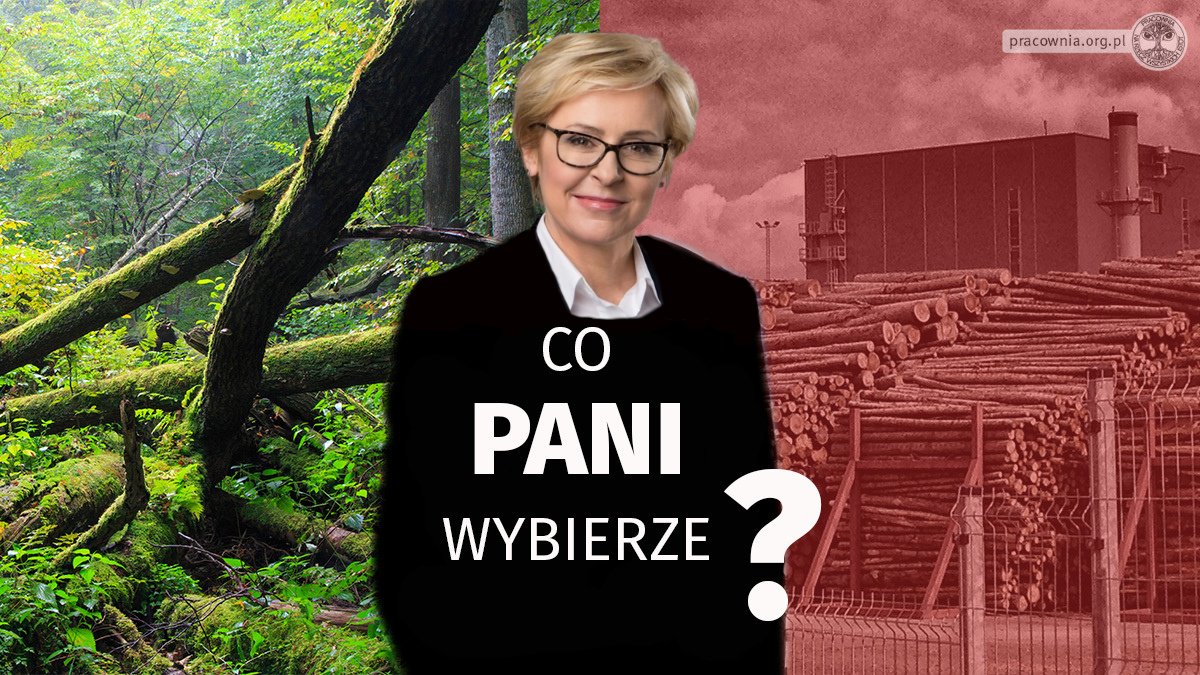 Czy 16. maja zagłosujesz nad zmianą nowej dyrektywy UE🇪🇺 w sprawie #OZE? Proszę głosować za poprawką kompromisową 9⃣ (NIE 9A‼️), aby wyłączyć spalanie biomasy leśnej z dotacji i celów w #REDIII. Czy dokonasz właściwego wyboru, <a href="/j_wisniewska/">Jadwiga Wiśniewska</a>❓ #stopfakerenewables 🔥🌲🌲🌲