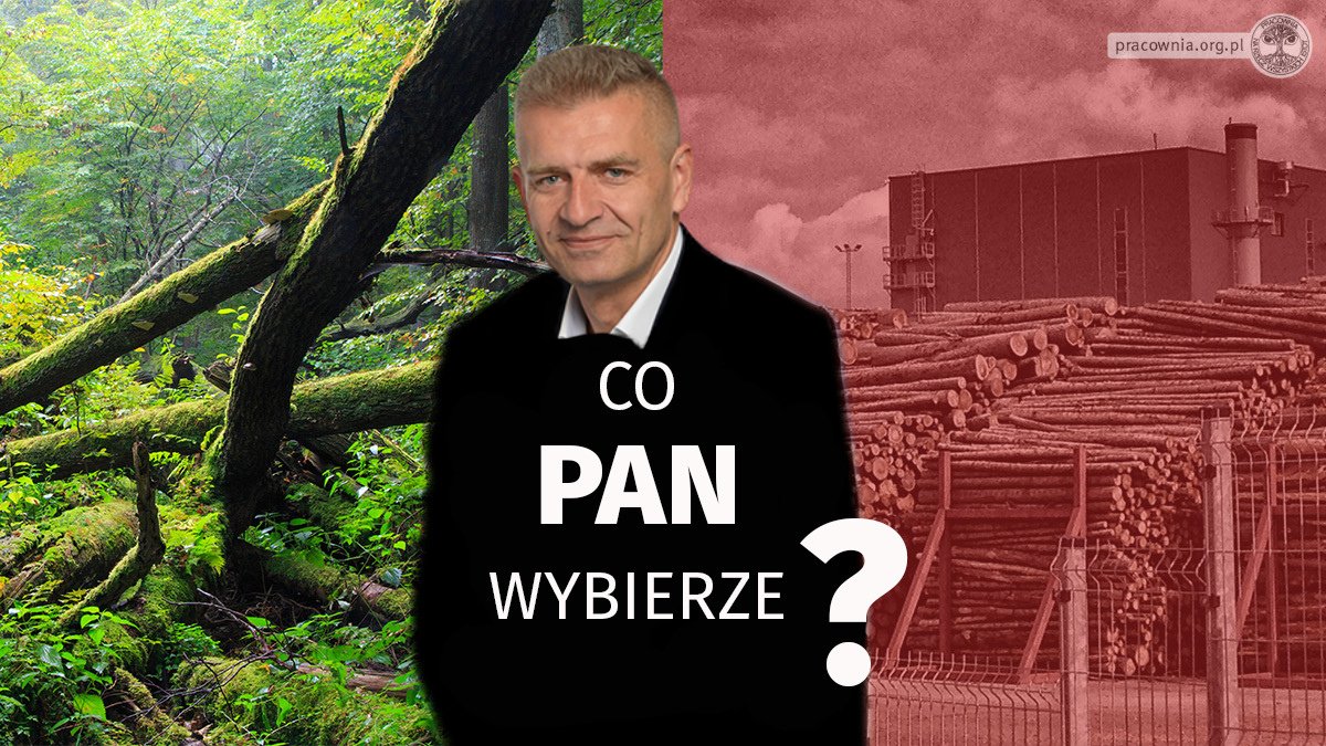 Czy 16. maja zagłosujesz nad zmianą nowej dyrektywy UE🇪🇺 w sprawie #OZE? Proszę głosować za poprawką kompromisową 9⃣  (NIE 9A‼️), aby wyłączyć spalanie biomasy leśnej z dotacji i celów w #REDIII. Czy dokonasz właściwego wyboru, <a href="/Arlukowicz/">Bartosz Arlukowicz</a>❓ #stopfakerenewables 🔥🌲🌲🌲