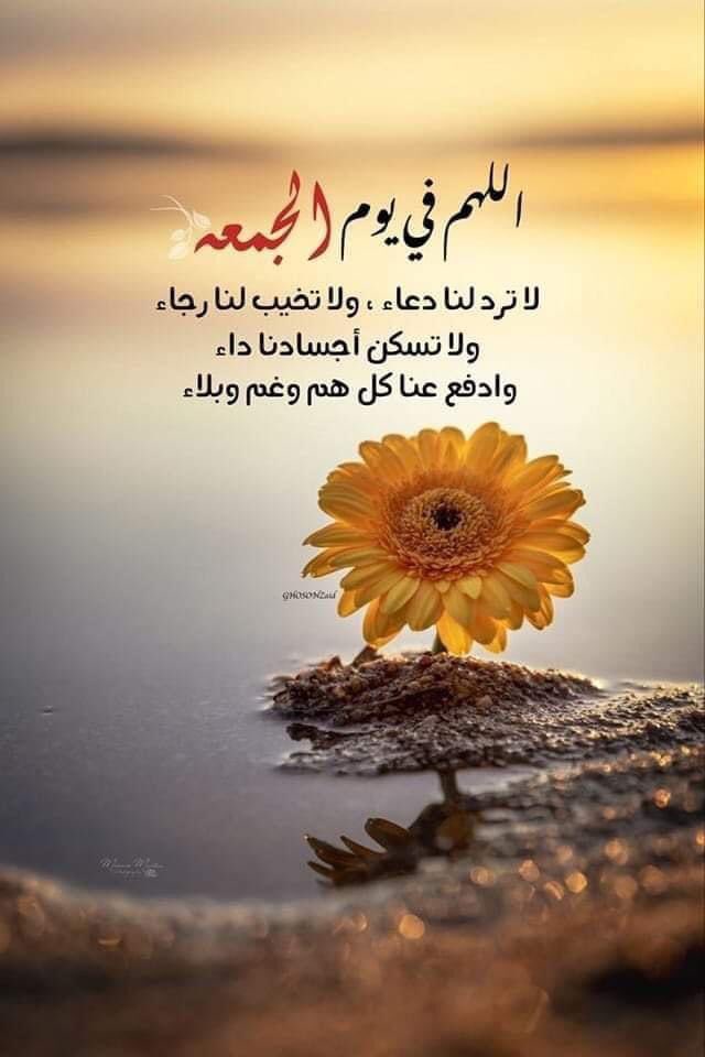 o_m_g_9's tweet photo. كل #جمعة وأنتم إلى الرحمن أقرب
وصحائف أعمالكم بالحسنات أثقل
كل جمعة وهمتكم للجنة أكبر
وَقُلُوْبُنَا بِالْحُبِّ فِيْ الْلَّهِ أَنْقَى
كُلِّ جَمْعَهُ وَعَلاقْتِنا بْأَحِبَائِنا بِمَاءٍ الْمَوَدَّهَ تُسْقَىْ
جُمـعة مُظلّلة ومِتلألِئة مِن بَريق الفِردوس الأعلى https://t.co/AaOb29vnRV