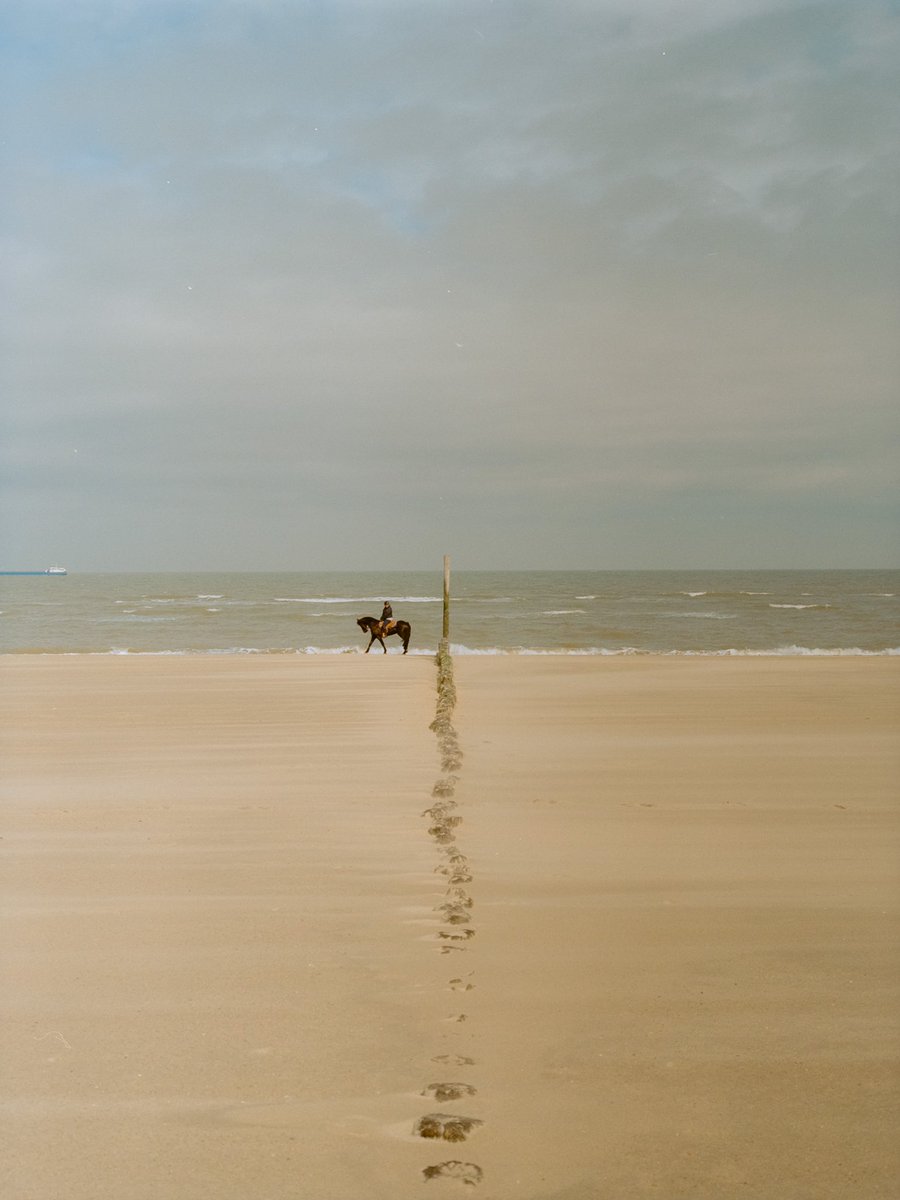 FilmMoreno's tweet image. At the beach